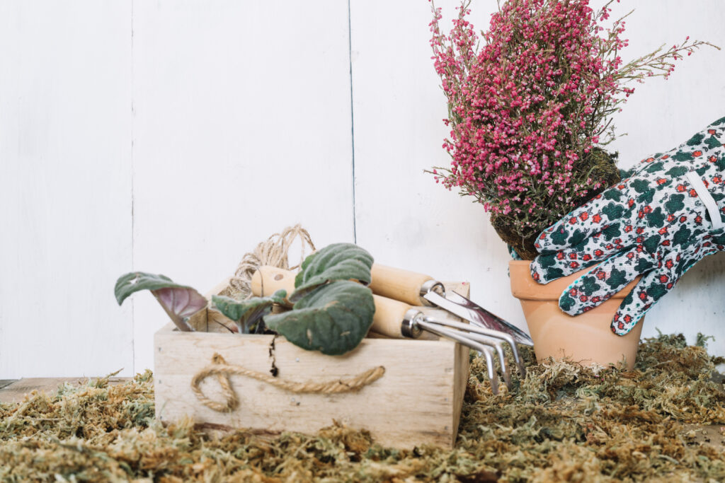 nie-zapominaj-o-ogrodzie-jak-powinny-przebiegac-zimowe-prace-w-ogrodzie-image