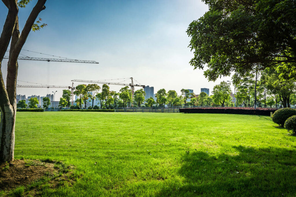 mieszkanie-lub-dom-w-lodzi-dobre-oferty-na-beldom-pl-image